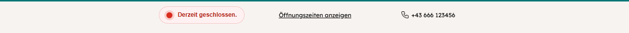 Screenshot Leiste dynamische Öffnungszeiten & Kontakt